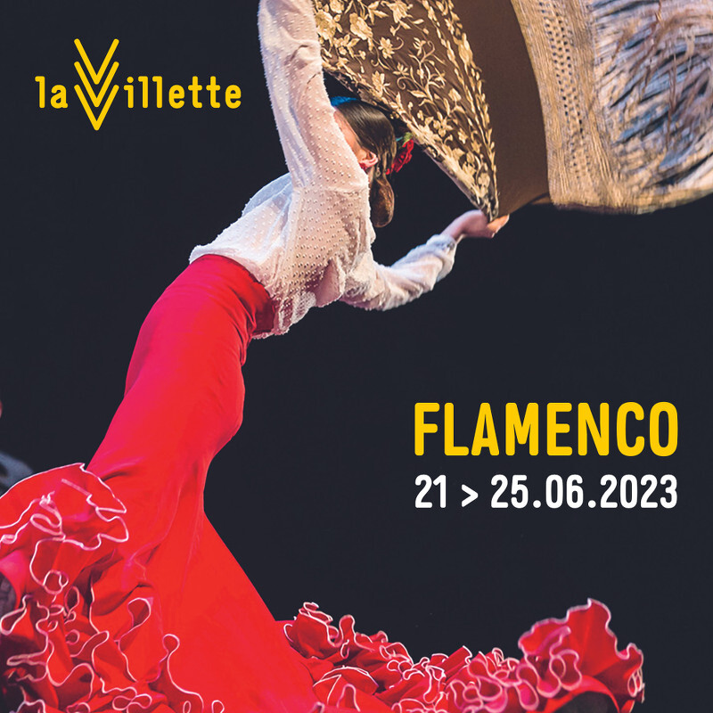 Publi_carre_RS_Flamenco_c_Alain_Scherer.jpg