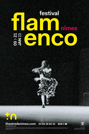 festival-flamenco-de-nimes_161815.jpg